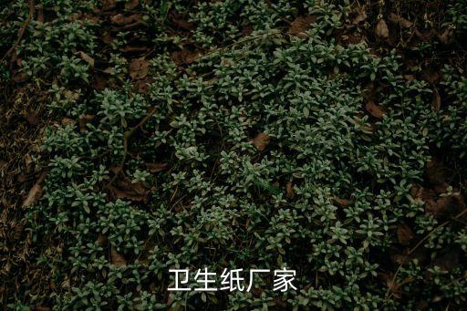 衛(wèi)生紙廠家