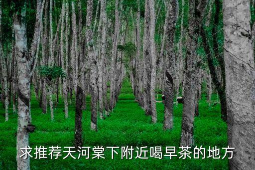 求推薦天河棠下附近喝早茶的地方