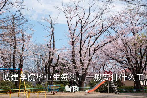 城建學(xué)院畢業(yè)生簽約后一般安排什么工作