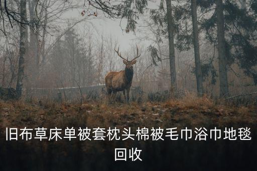 舊布草床單被套枕頭棉被毛巾浴巾地毯回收