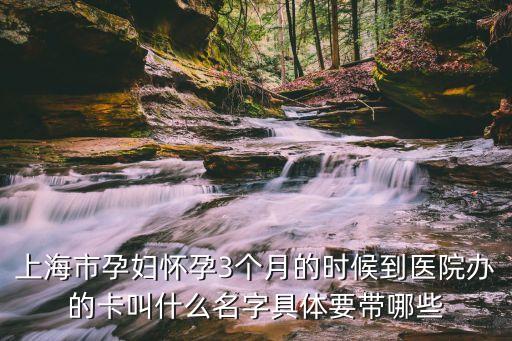 上海市孕婦懷孕3個月的時候到醫院辦的卡叫什么名字具體要帶哪些
