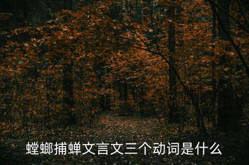 螳螂捕蟬文言文三個動詞是什么