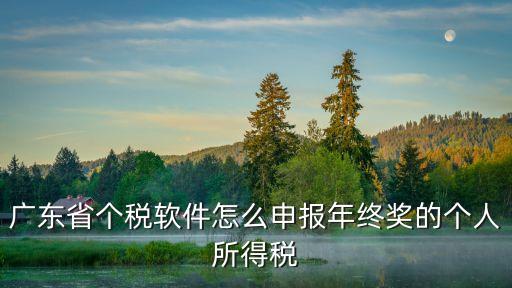 廣州個稅app怎么申請個稅，個人所得稅免稅政策的app在網上怎么申報