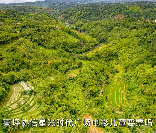 南坪協信星光時代廣場電影兒童要票嗎