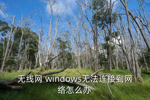 windows無(wú)法連接到無(wú)線網(wǎng)絡(luò)，無(wú)線網(wǎng) windows無(wú)法連接到網(wǎng)絡(luò)怎么辦