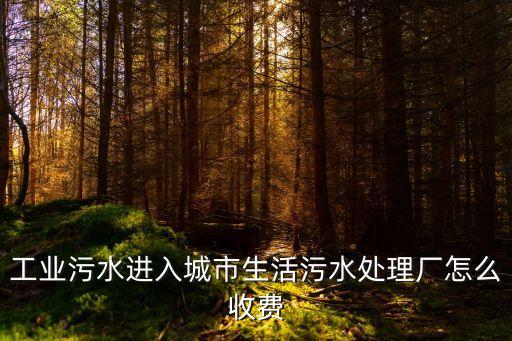 上海市污水處理廠收水標(biāo)準(zhǔn)，污水處理廠 取費(fèi)標(biāo)準(zhǔn)