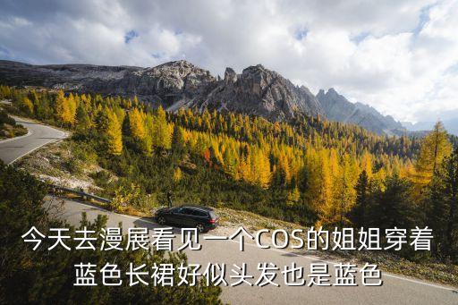 今天去漫展看見一個COS的姐姐穿著藍色長裙好似頭發(fā)也是藍色