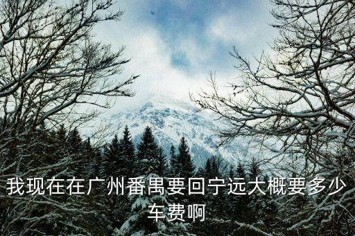廣州至寧遠票價，從廣州芳村到寧遠1月29號的大巴車票大概多少錢一張