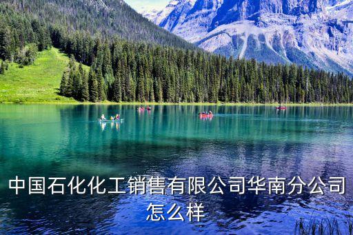 中國(guó)石化化工銷售有限公司華南分公司怎么樣