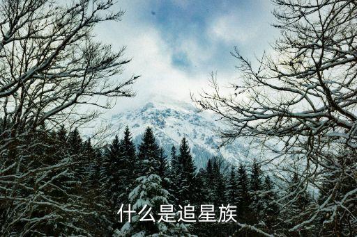 什么是追星族