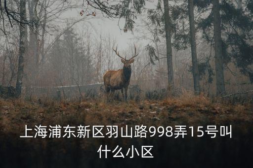 上海市金羽名庭戶型，上海浦東新區羽山路998弄15號叫什么小區