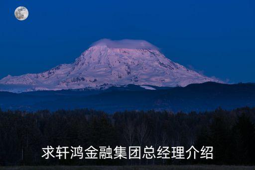 求軒鴻金融集團(tuán)總經(jīng)理介紹