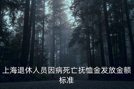 上海退休人員因病死亡撫恤金發放金額標準
