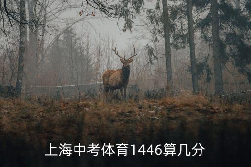 上海市體育成績初中，上海中考體育分怎么查詢啊