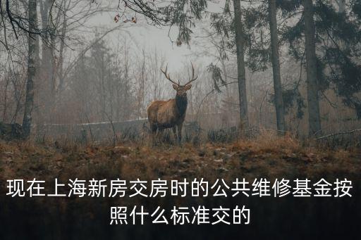 現(xiàn)在上海新房交房時(shí)的公共維修基金按照什么標(biāo)準(zhǔn)交的