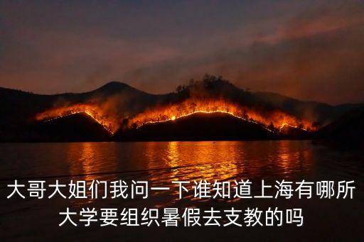 上海市暑期支教優秀隊伍，大哥大姐們我問一下誰知道上海有哪所大學要組織暑假去支教的嗎