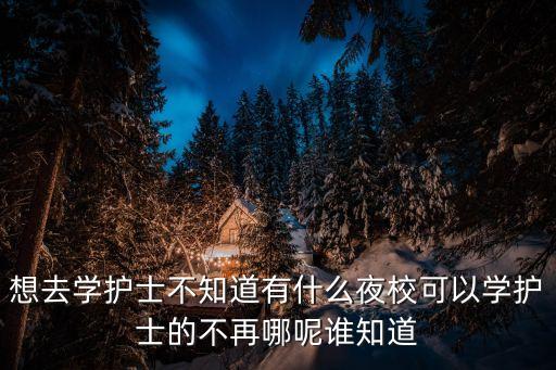 想去學護士不知道有什么夜校可以學護士的不再哪呢誰知道