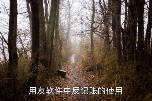 用友反記賬，用友軟件中反記賬的使用