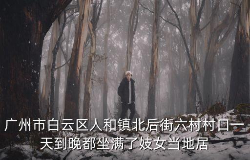 廣州人和鎮(zhèn)橫瀝村幼兒園圖片，盤龍城名流人和天地有哪些幼兒園