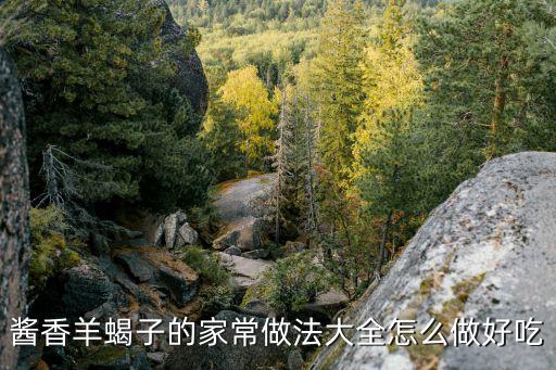 正宗羊蝎子的做法，羊蝎子怎么燉好吃