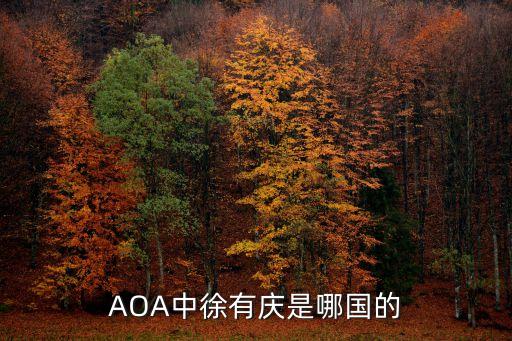 徐有慶，電視劇富貴中富貴的兒子徐有慶是誰演的啊