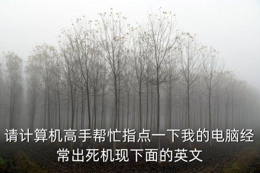 請計算機高手幫忙指點一下我的電腦經常出死機現下面的英文