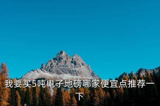 廣州地磅哪家便宜，電子磅秤多少錢一把 我想問到可以稱到250公斤的在廣州附近那里