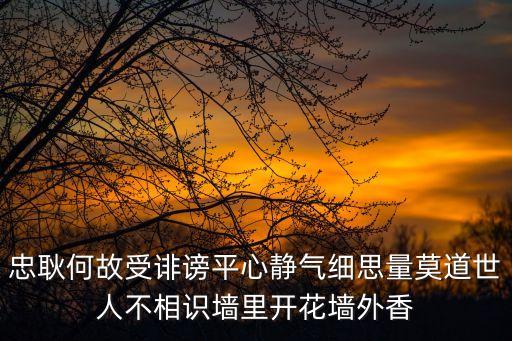 忠耿何故受誹謗平心靜氣細(xì)思量莫道世人不相識(shí)墻里開(kāi)花墻外香
