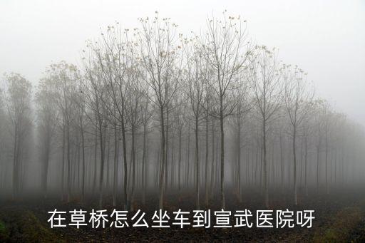 廣州草橋到宣武門怎么走，怎么去宣武門