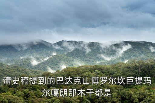 清史稿提到的巴達(dá)克山博羅爾坎巨提瑪爾噶朗那木干都是