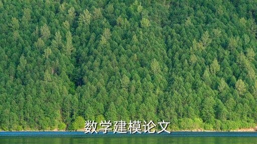 數學建模論文，數學建模論文