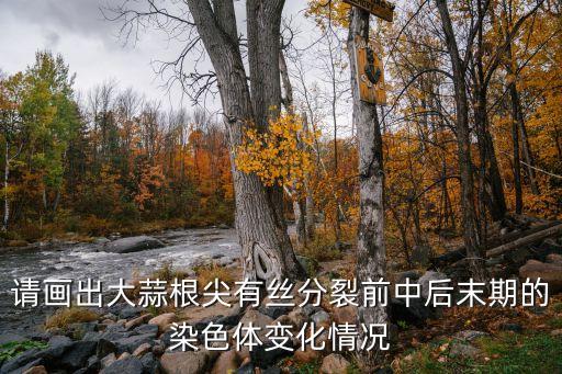 大蒜怎么畫，蒜寫在紙上怎樣才能讓他顯示出來