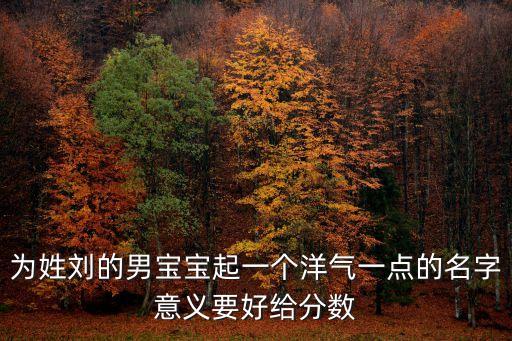 為姓劉的男寶寶起一個洋氣一點的名字意義要好給分數