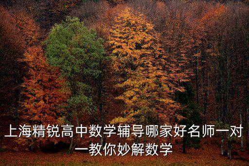 上海市校園足球開展情況，上海由由中學(xué) 足球場