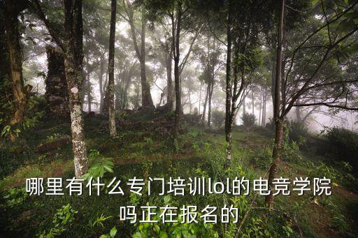 廣州市lol電競培訓班，哪里有什么專門培訓lol的電競學院嗎正在報名的