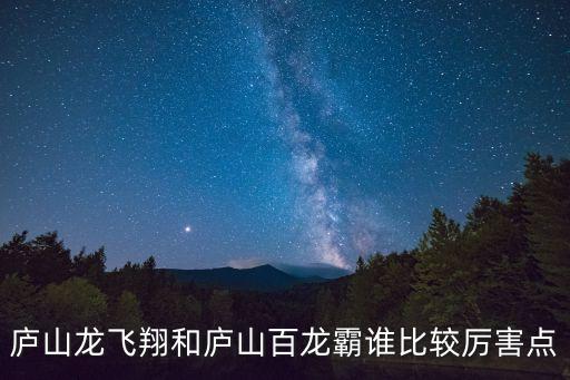 廬山龍飛翔和廬山百龍霸誰(shuí)比較厲害點(diǎn)