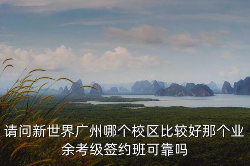 新世界廣州中心學區，請問新世界廣州哪個校區比較好那個業余考級簽約班可靠嗎
