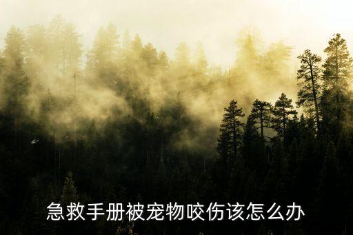 急救手冊(cè)，魔獸世界 急救手冊(cè)