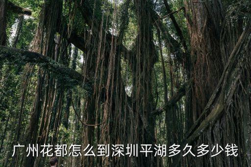 廣州花都怎么到深圳平湖多久多少錢