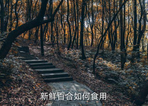 鮮百合怎么吃，新鮮百合如何食用