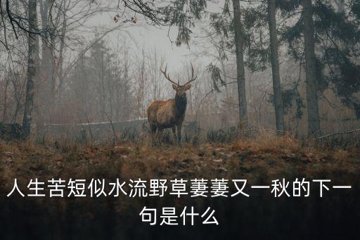 人生苦短下一句，人生苦短后面是什么