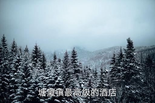 塘廈鎮最高級的酒店