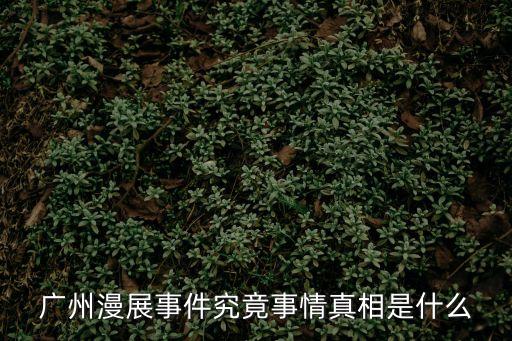 廣州漫展事件究竟事情真相是什么