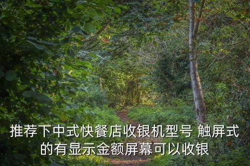 廣州好看觸摸屏收款機，廣州的太平洋電腦城有觸摸式的收銀機賣嗎
