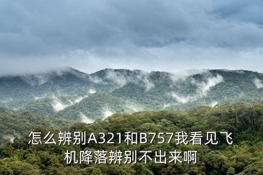 怎么辨別A321和B757我看見飛機降落辨別不出來啊
