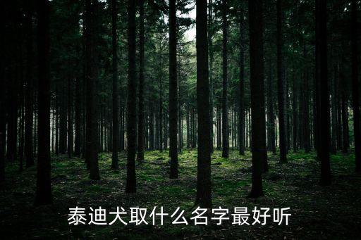 泰迪狗名字最火的，給泰迪公狗起名字