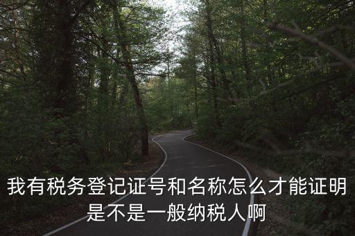 我有稅務(wù)登記證號(hào)和名稱怎么才能證明是不是一般納稅人啊