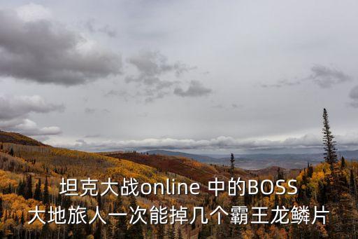 坦克大戰(zhàn)online 中的BOSS大地旅人一次能掉幾個(gè)霸王龍鱗片
