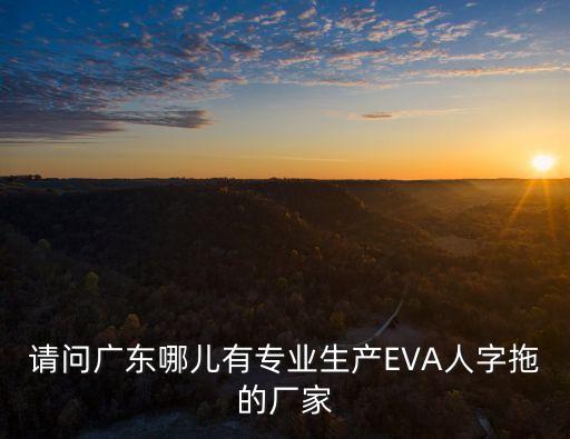 請問廣東哪兒有專業(yè)生產(chǎn)EVA人字拖的廠家