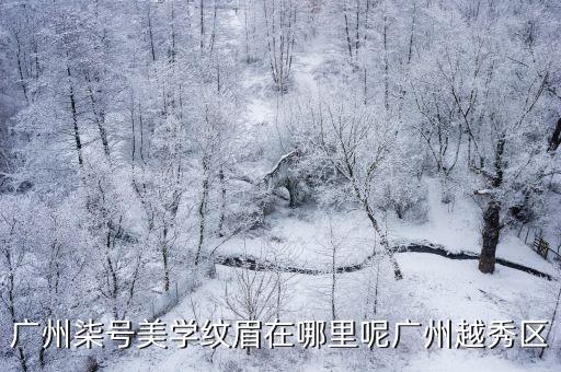 廣州紋眉圖片大全，怎么辦紋眉都有幾種方法 效果怎么樣紋眉都有哪些眉型圖片